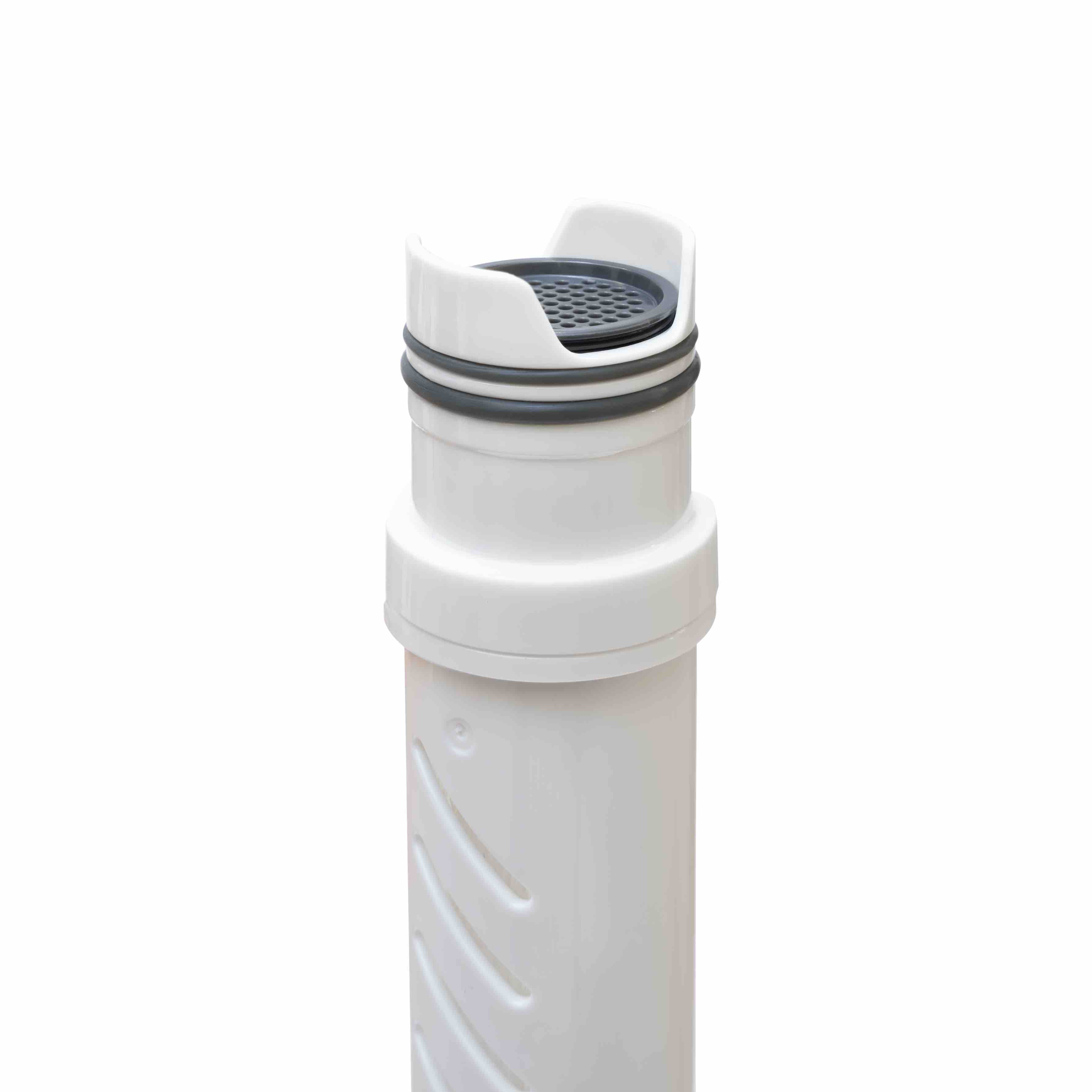 LifeStraw Replacement Filter OLD Go Series (2-Stage)