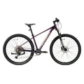 MT400 29 Zoll MTB