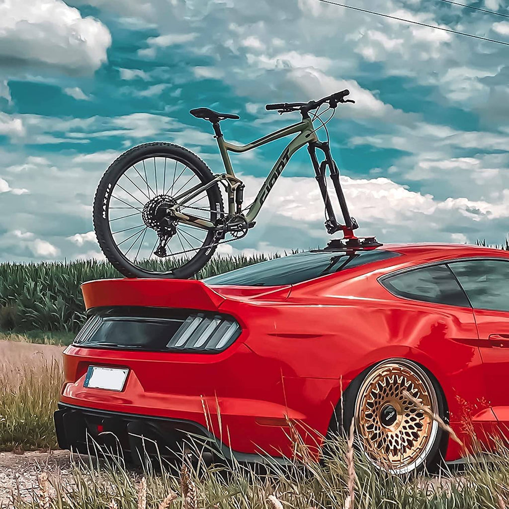 ROCKBROS Fahrradträger Fahrrad Dachträger mit Saugnäpfe Schnellmontage